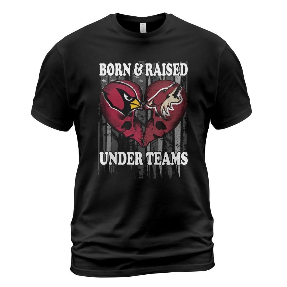 9cwnmbxj/products/6a17ad9c3dc5e20008f78184/attributes-slide:t-shirt,color:black/front-name:Front-kqAiTVcPNg_g