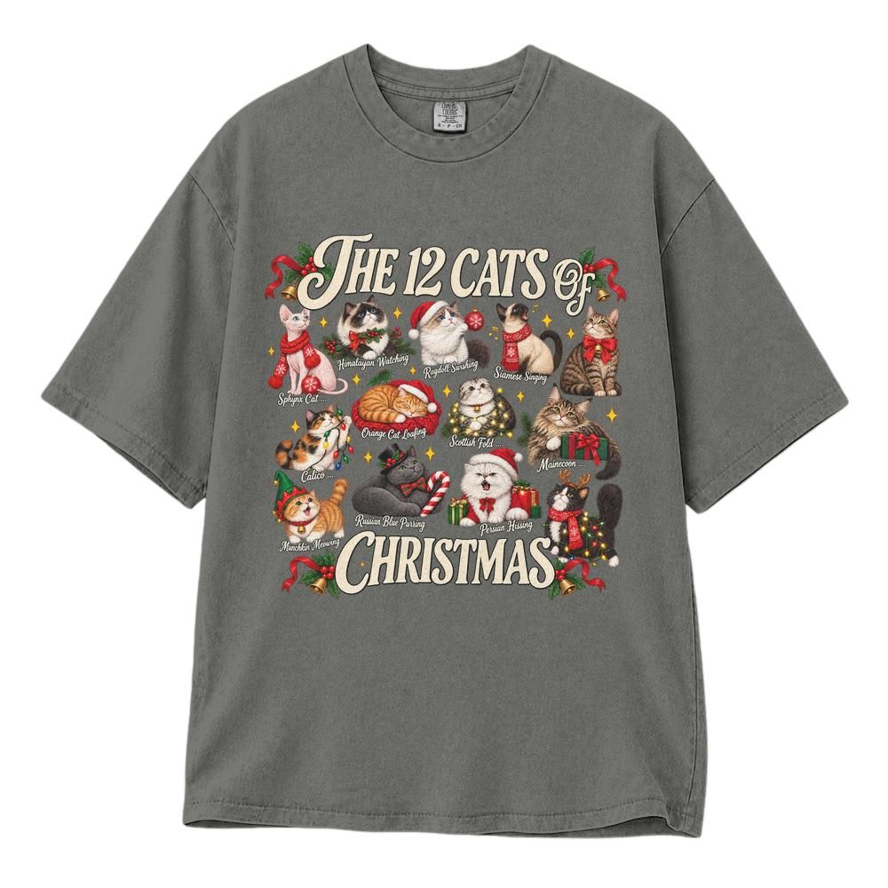Classic Unisex T-Shirt Comfort Colors 1717 (Made in US)