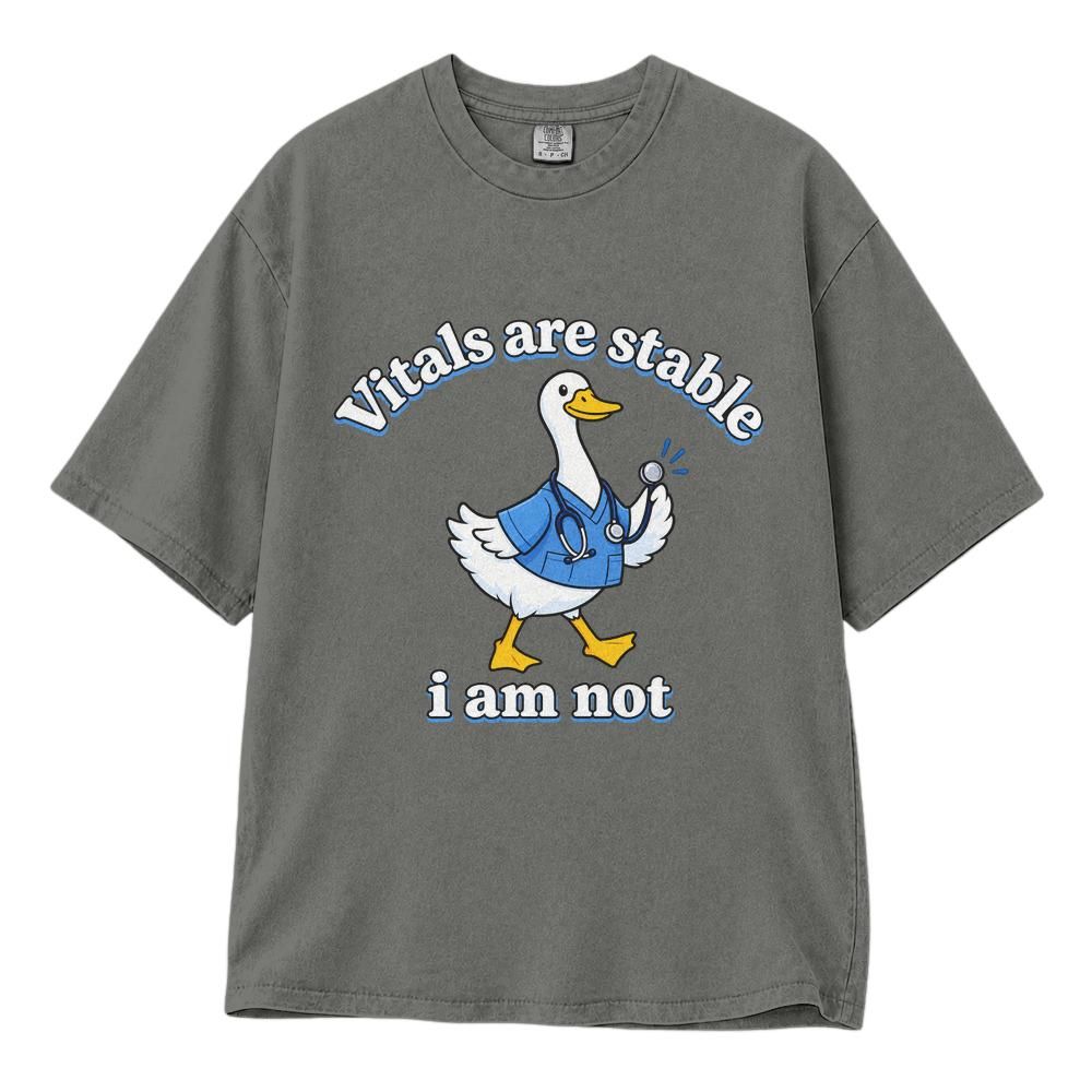 Classic Unisex T-Shirt Comfort Colors 1717 (Made in US)