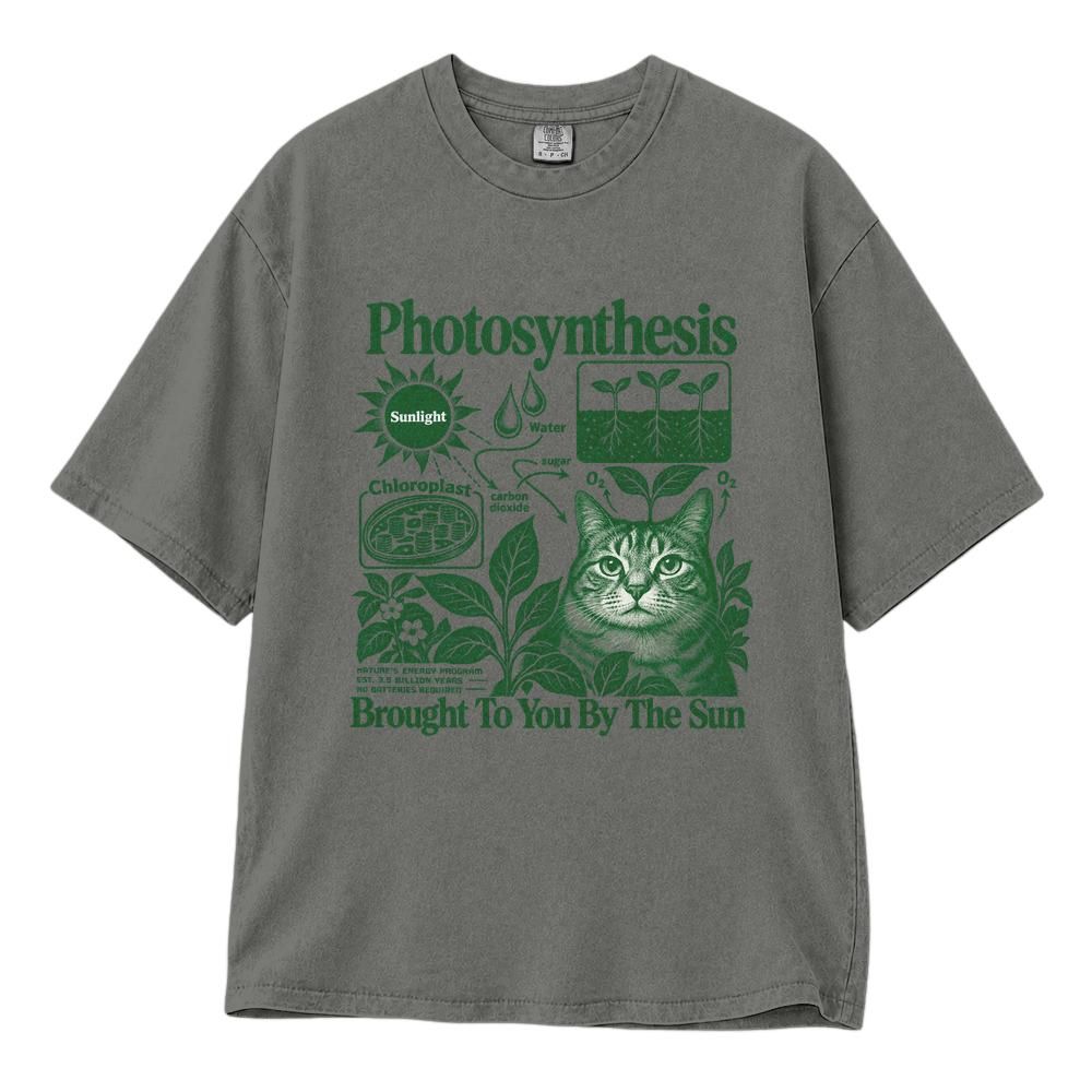 Classic Unisex T-Shirt Comfort Colors 1717 (Made in US)