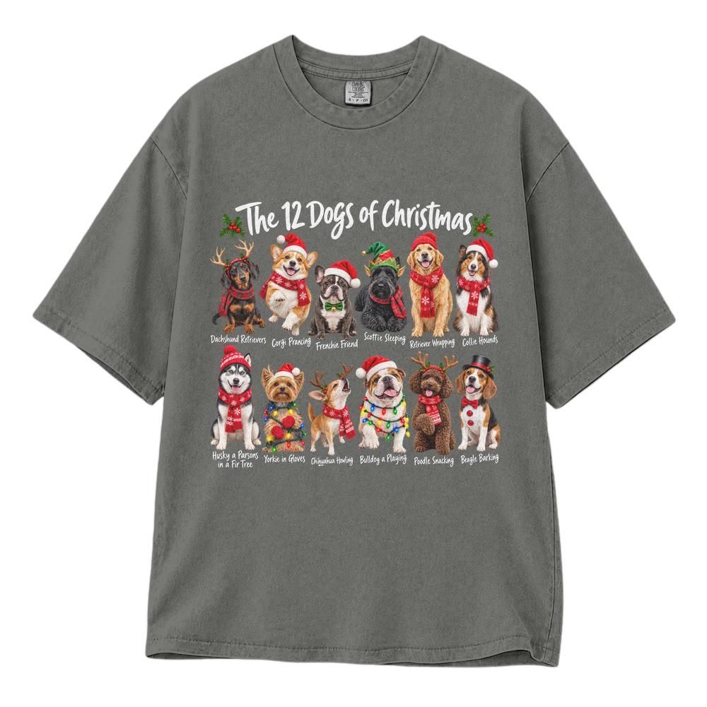 Classic Unisex T-Shirt Comfort Colors 1717 (Made in US)