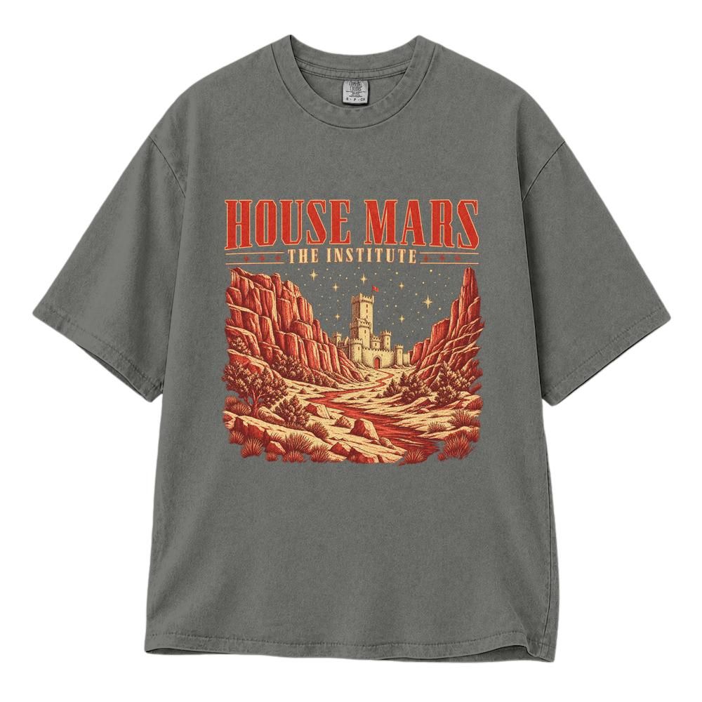 Classic Unisex T-Shirt Comfort Colors 1717 (Made in US)