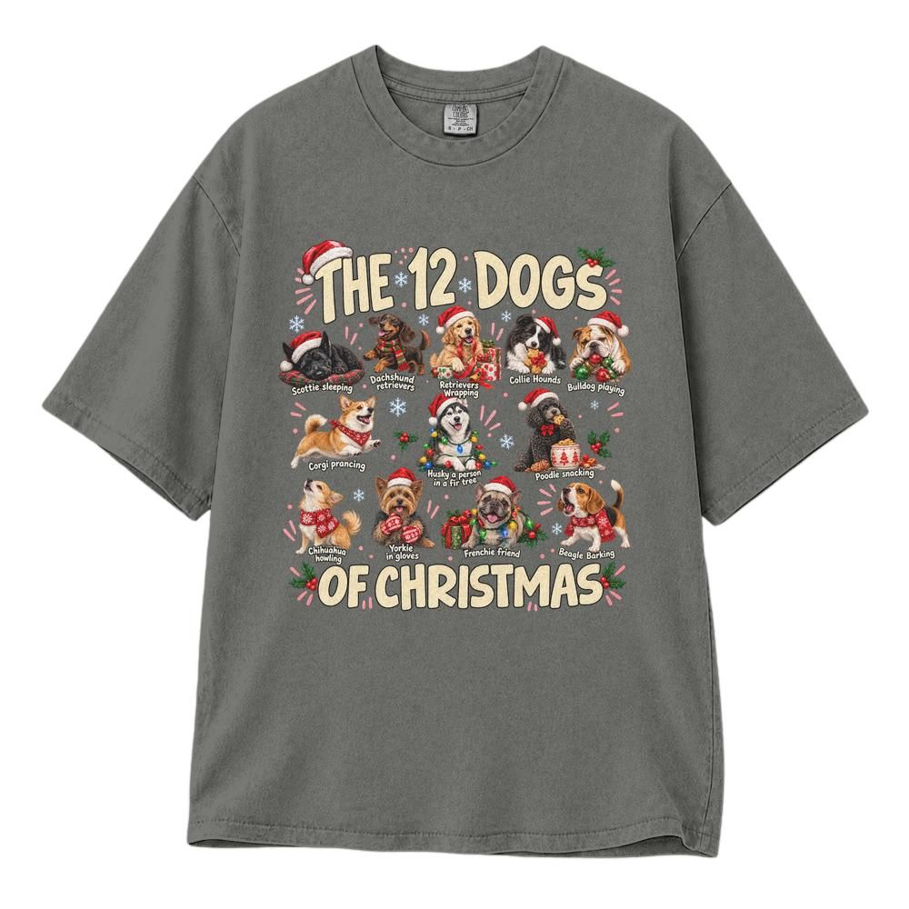 Classic Unisex T-Shirt Comfort Colors 1717 (Made in US)