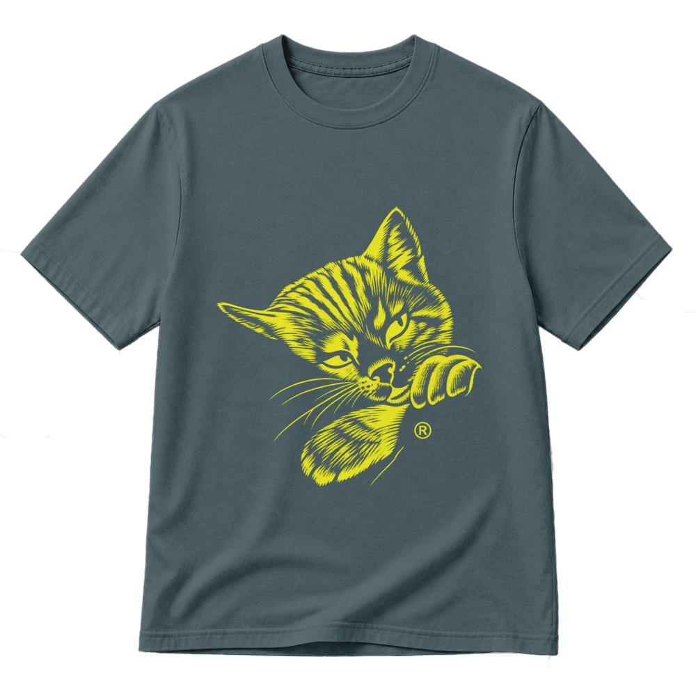 Classic Unisex T-Shirt Gildan 5000 (Made In US)