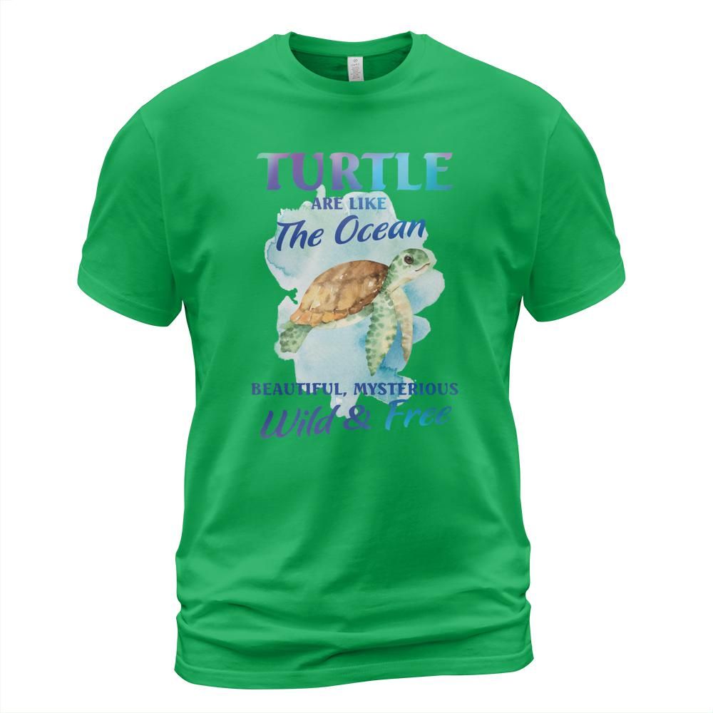 lyntz7nk/products/623173bc7c7b9ff0ad32b8bd/attributes-slide:2d-unisex-classic-t-shirt,color:kelly-green/front-RqHDdveoCG