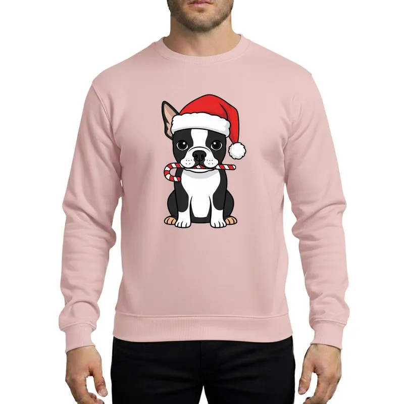 Kids' Whimsical Black White Boston Terrier Puppy Red Santa Hat Striped Candy Cane Christmas Art Sweatshirt - 1