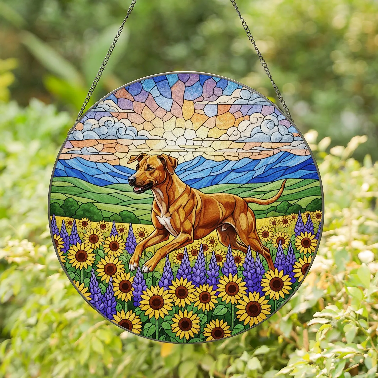 Stained Glass Leaping Rhodesian Ridgeback Dog Wildflower Field Sunflowers Lupine Art Stained Glass Suncatcher - 1