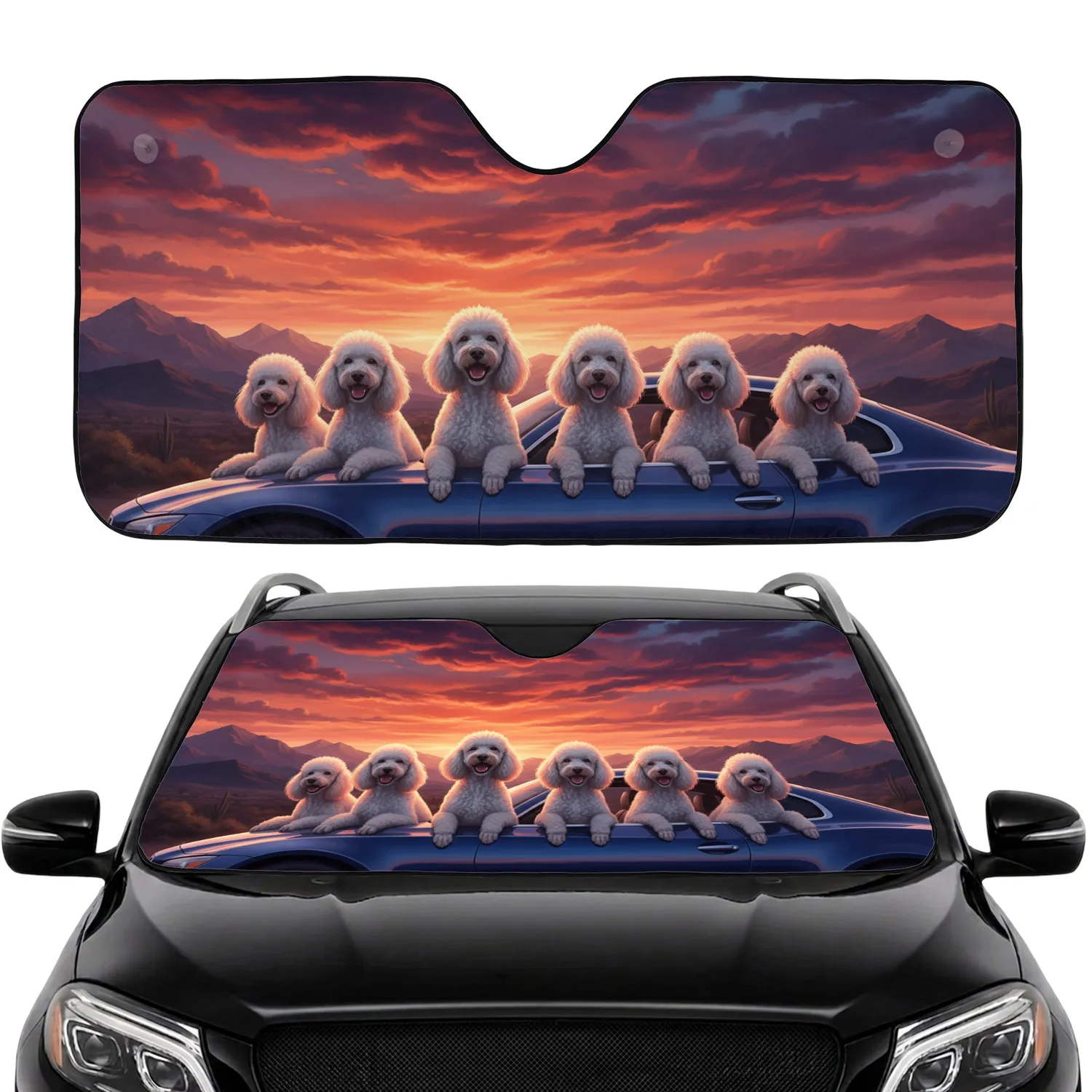 White Standard Poodles Resting on Sleek Dark Blue Vehicle Sunset Mountains - Poodle Lover Gift Car Sunshade - 1
