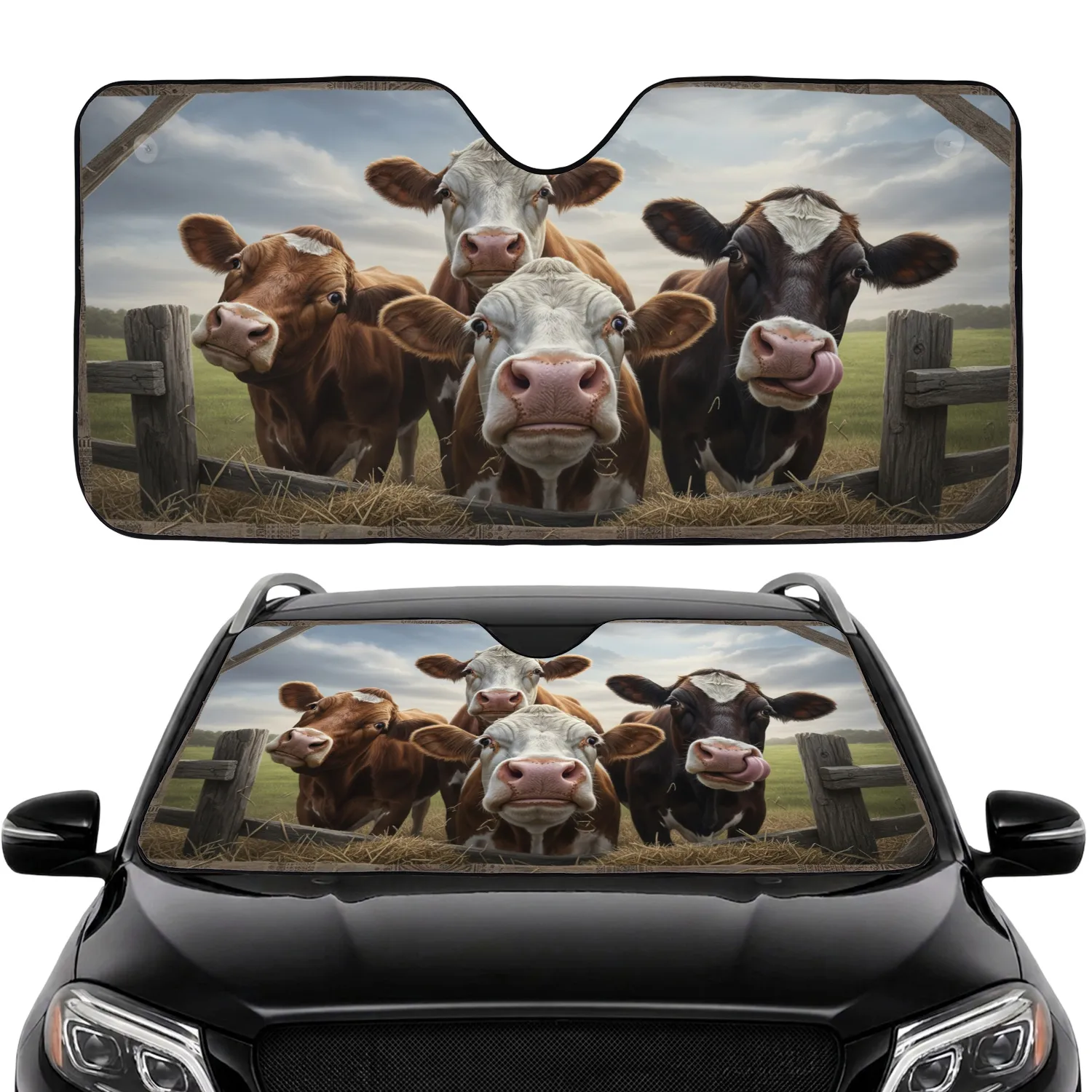 Curious Farm Cows Rustic Setting - Farmhouse Decor Gift for Cow Lover Car Sunshade - 1