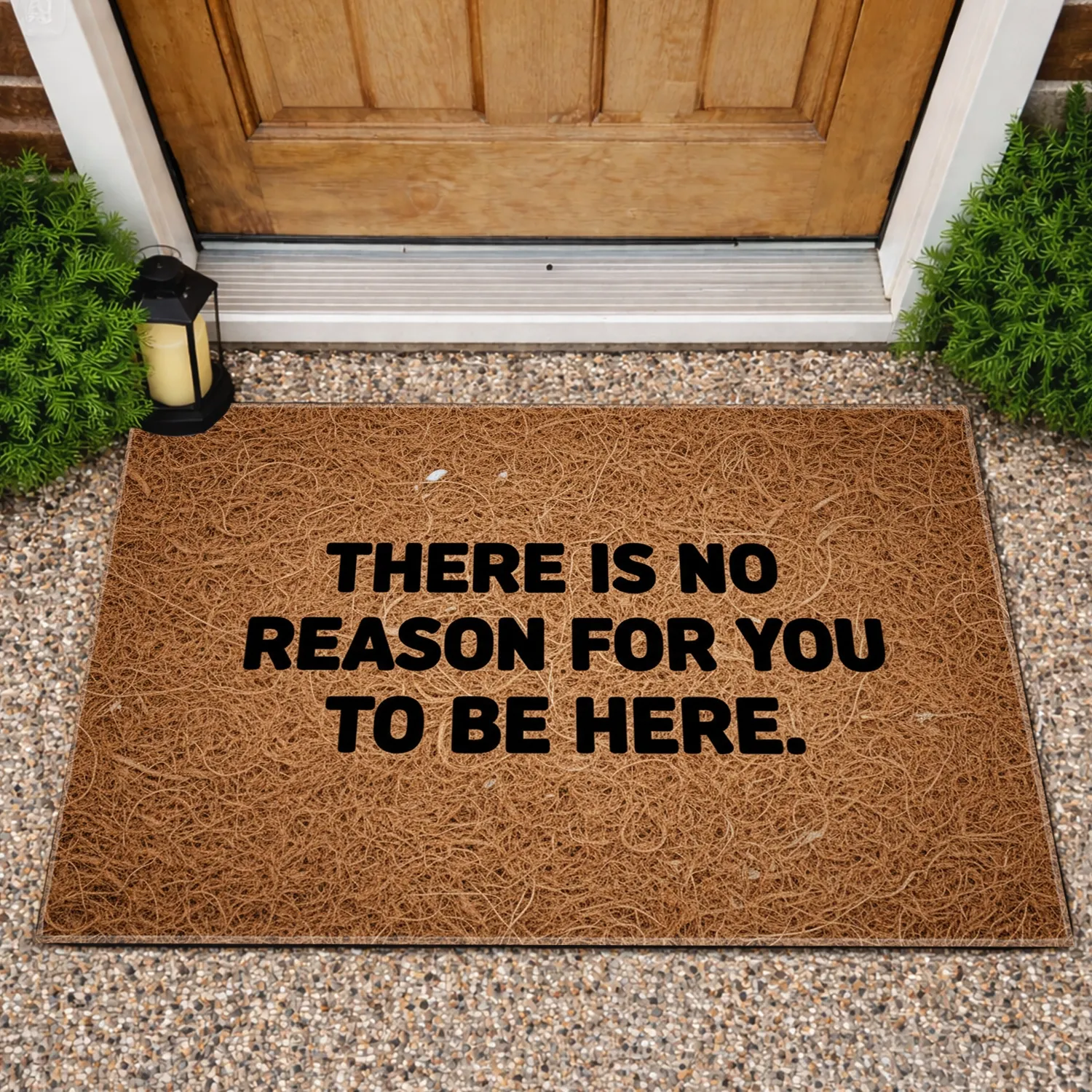 No Reason To Be Here - Funny Home Decor Gag Gift Doormat - 1