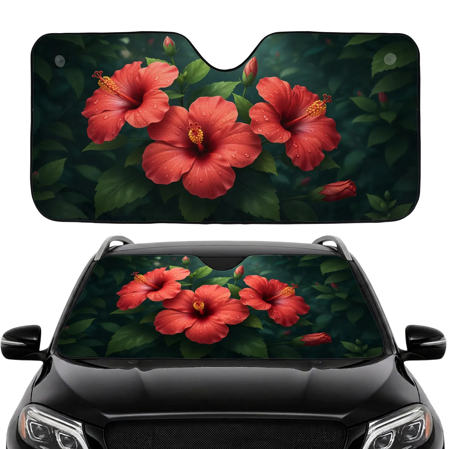 57-x-27-5/WgKxOL67XK