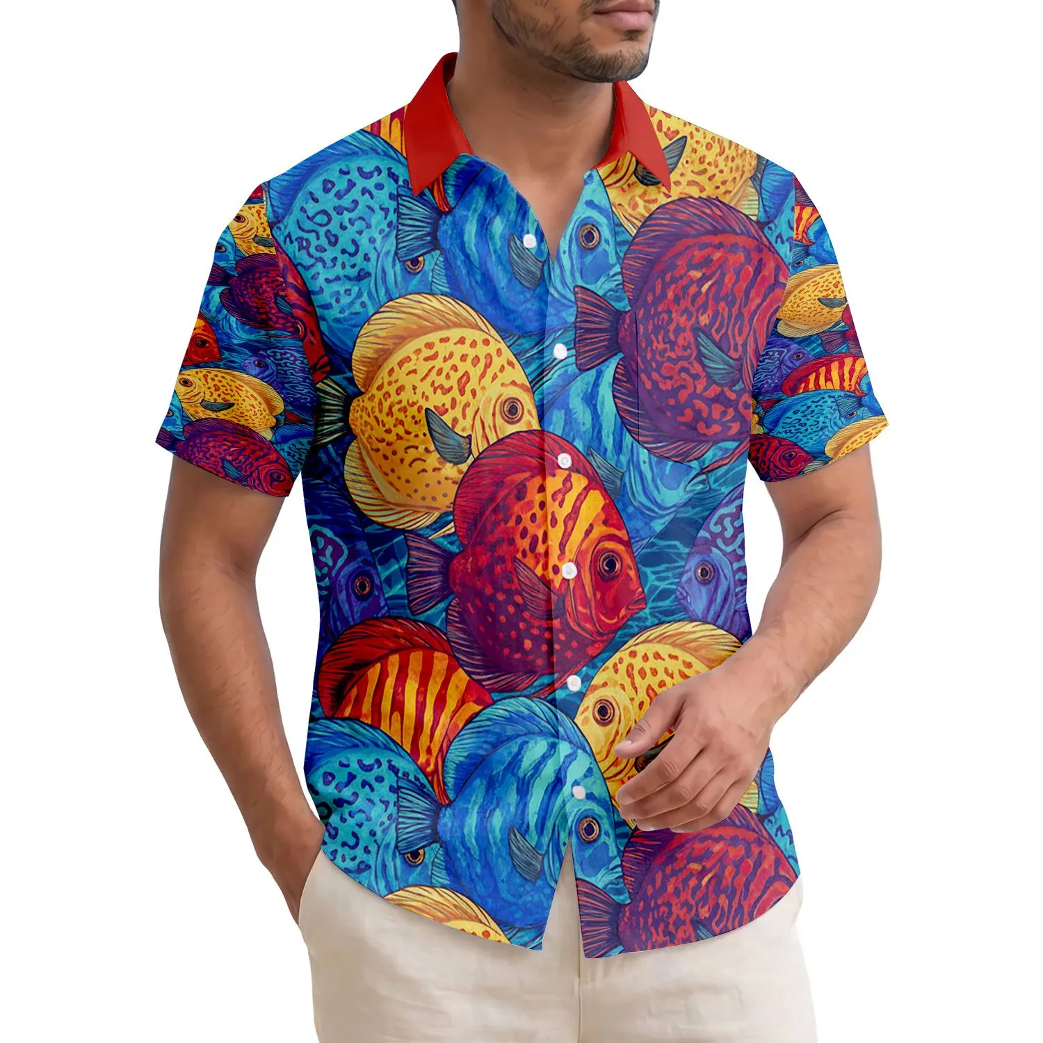 duiyfppz/products/6a0f1618d6a536b0fd6502c3/gallery/TRq_2n-T9i