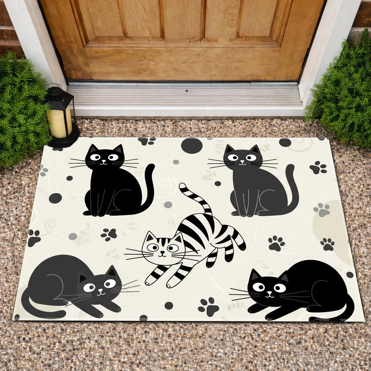 15x25/iomfAmS49T