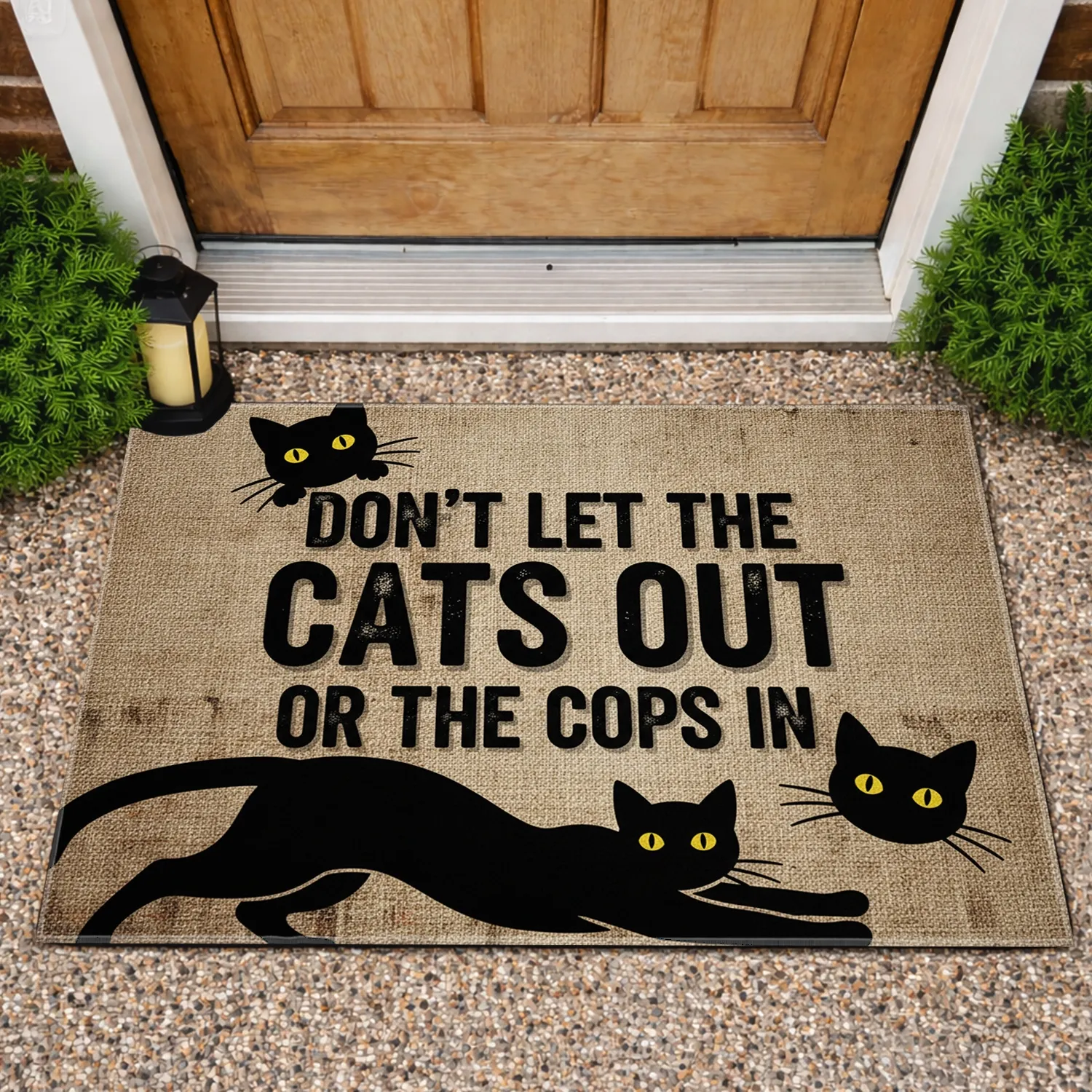 Black Cats Funny Saying - Farmhouse Home Decor Gift for Cat Lover Doormat - 1