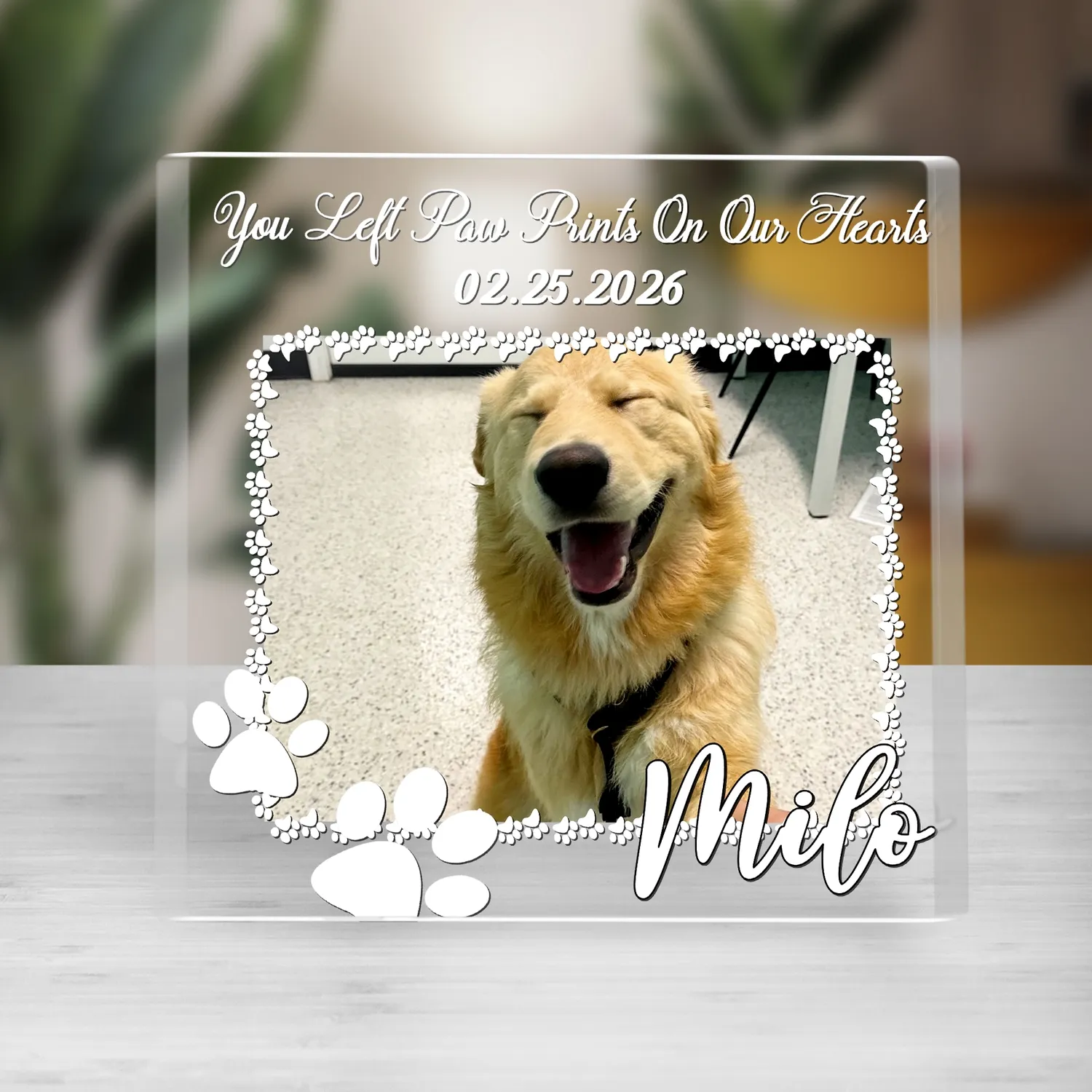 Personalized Pet Memorial Acrylic Block, Forever in Our Hearts Dog Sympathy Gift, Custom Photo Remembrance Keepsake, Loss of Dog Plaque - 1