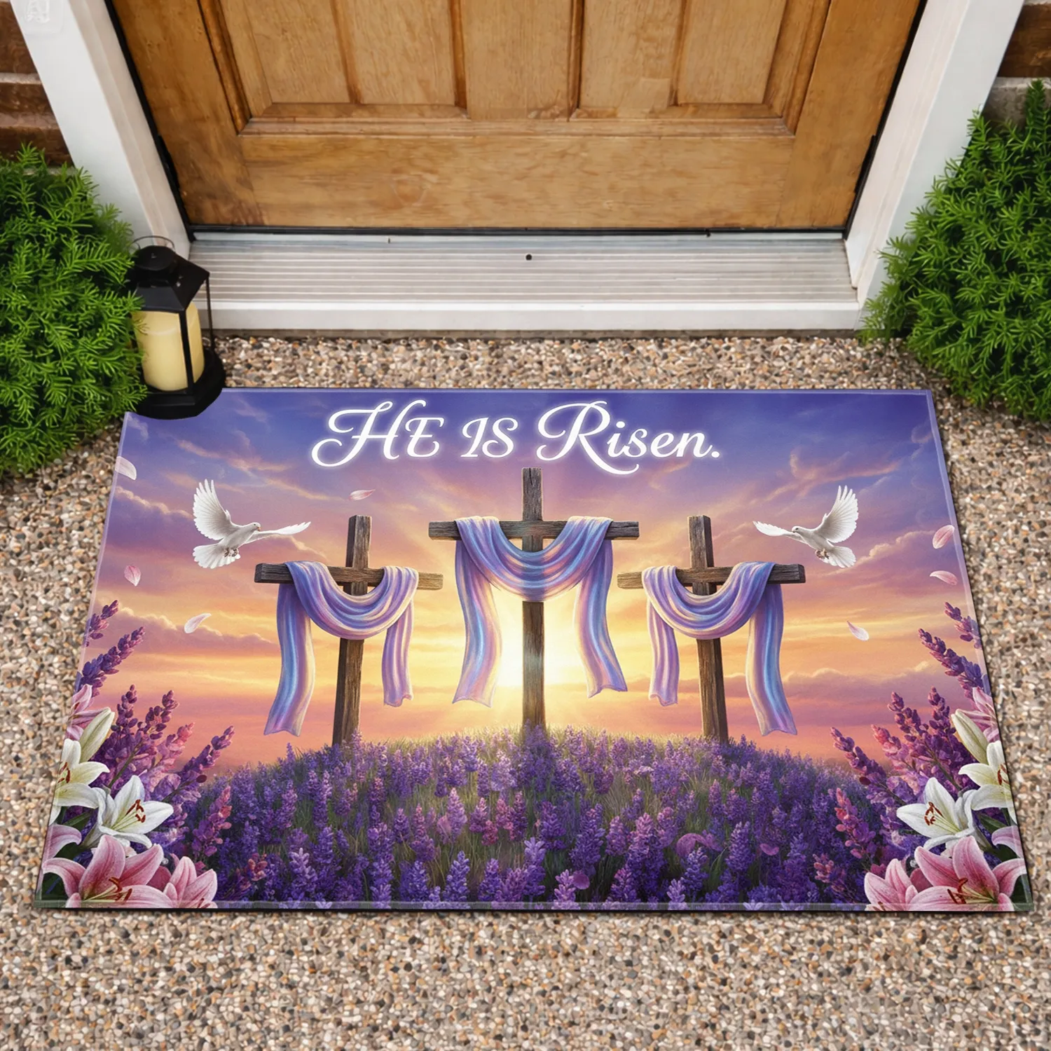 15x25/mHHDsfZP1-