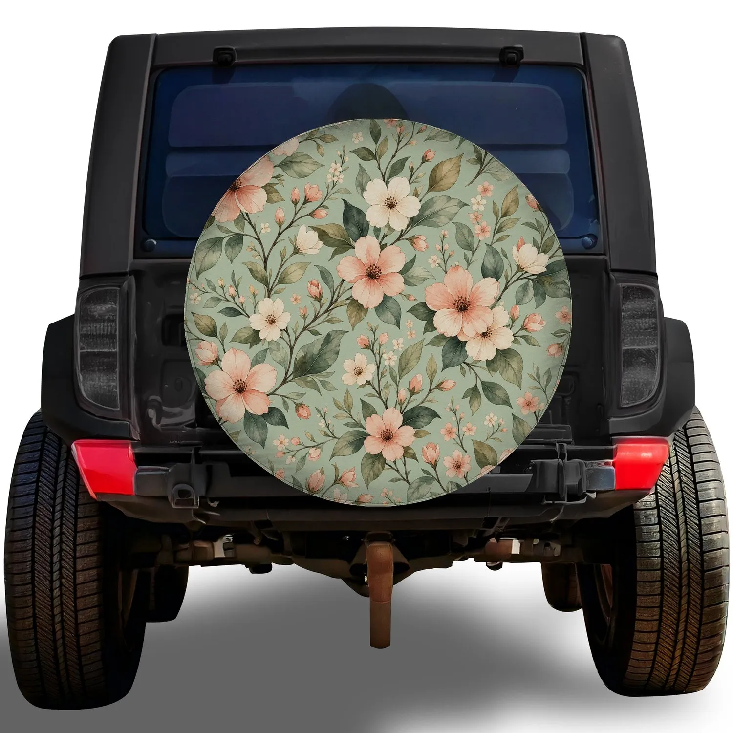 no-hole/T0eujjCjq-