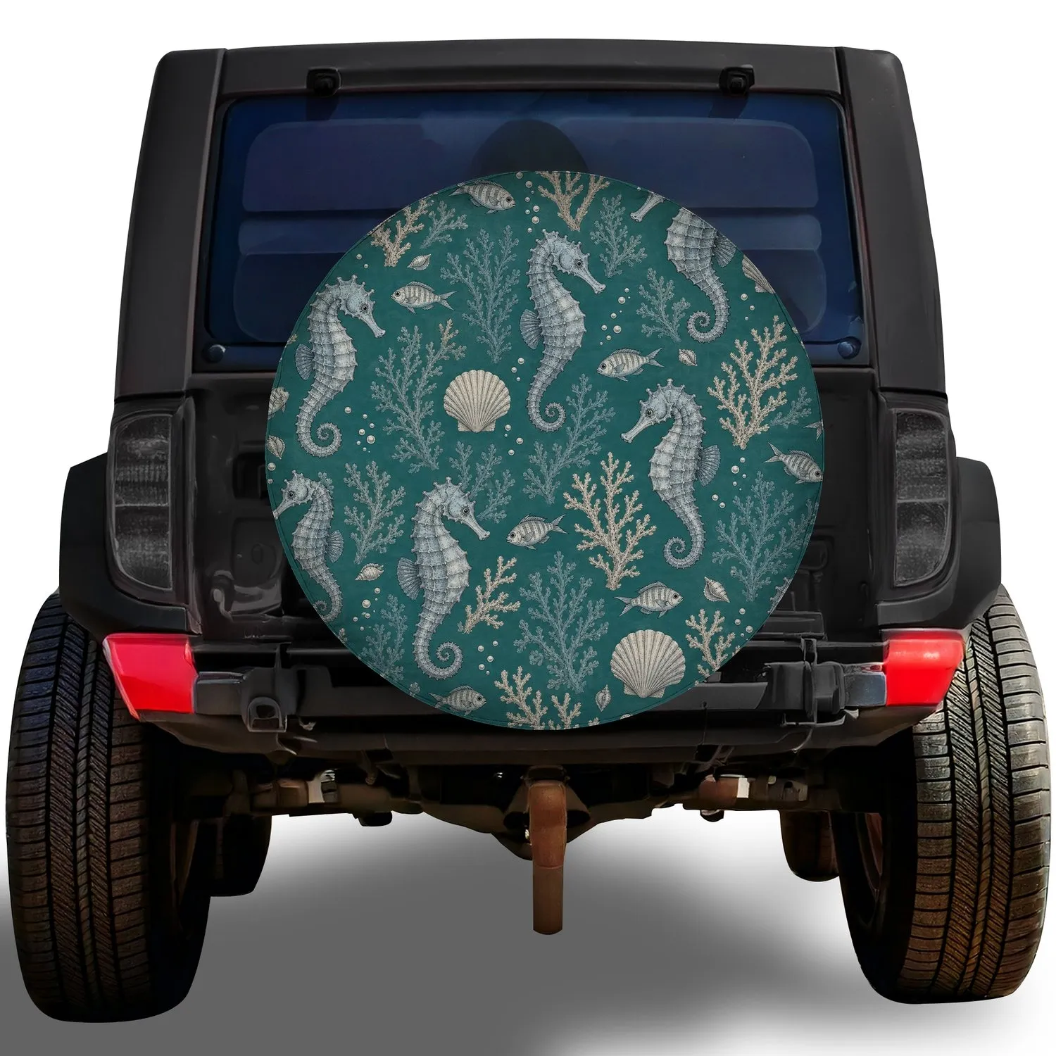 no-hole/wQt6ZmLFQT