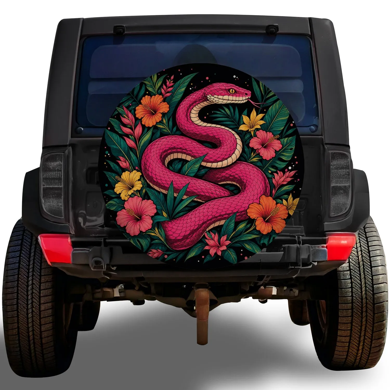 no-hole/sltrqSP4Fb