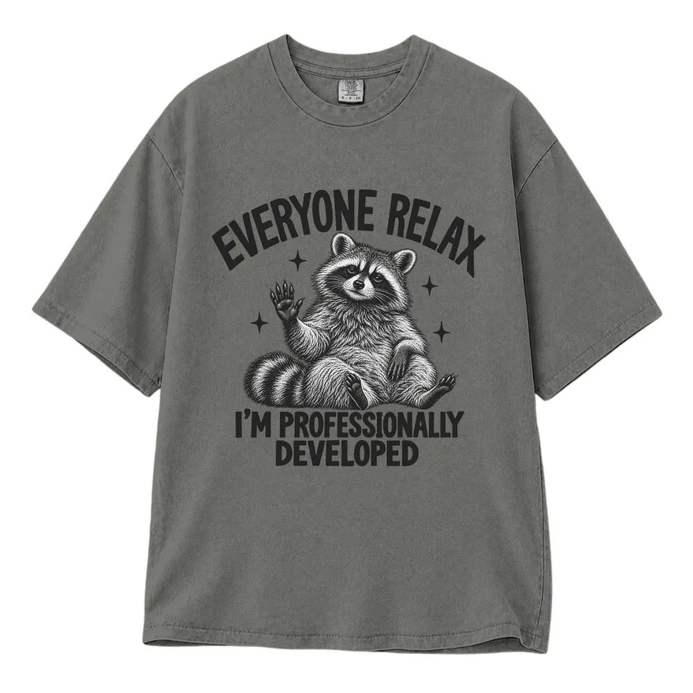 Raccoon Teacher Gift Shirt, Everyone Relax I'm Professionally Developed, Funny Educator Tee, Hoodie, Sweatshirt - 1