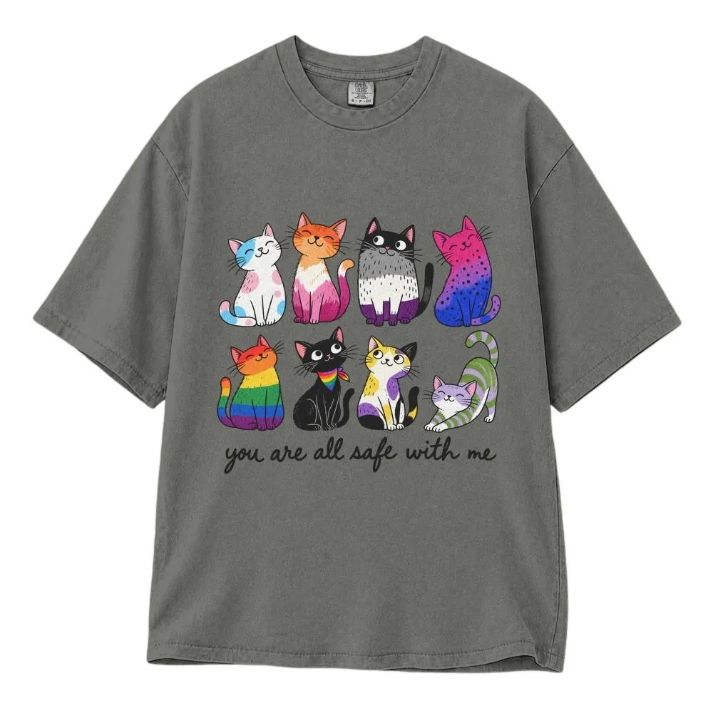 LGBTQ Pride Cats Shirt, Inclusive Rainbow Ally Design, You Are All Safe With Me, Pride Tee, Hoodie, Sweatshirt - 1