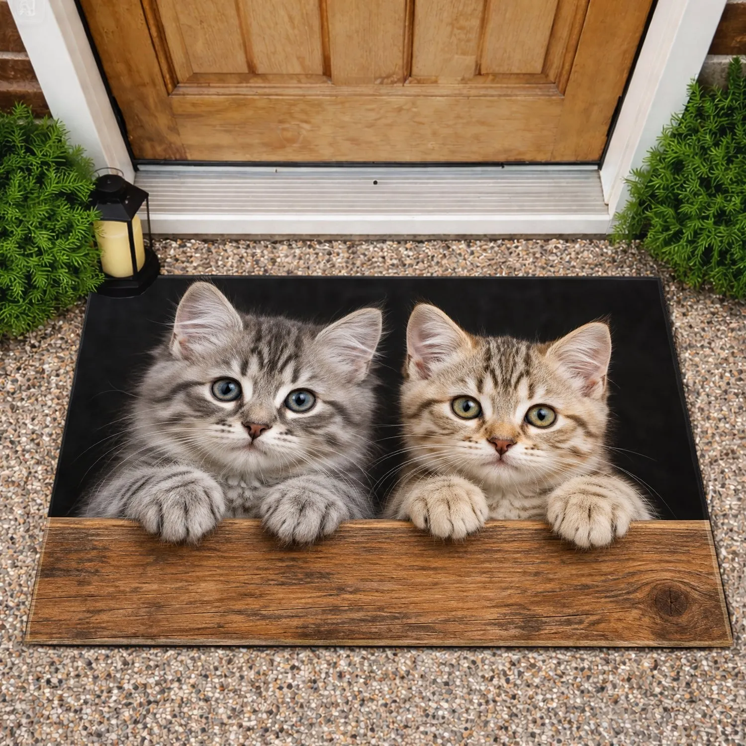 Two Tabby Kittens Peeking Over Wood for Cat Lovers and Cozy Home Entryway Style Accent Doormat - 1