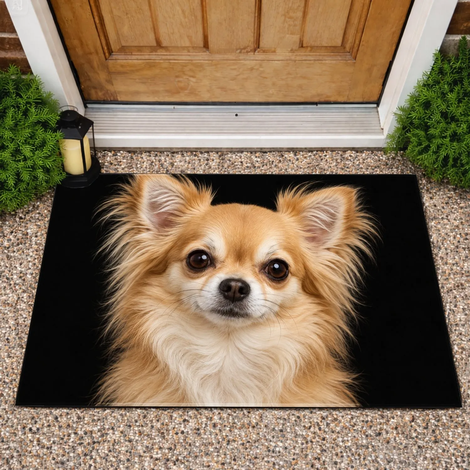 Long-Haired Chihuahua Portrait for Cozy Pet-Lover Homes and Everyday Dog-Loving Style Doormat - 1