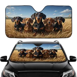 Proud Pack of Dachshunds Golden Wheat Field - Car Interior Upgrade Dog Lover Gift Car Sunshade