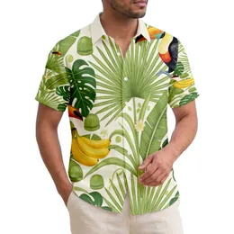 Toucans Bananas Traveler Palm Monstera Leaves - Tropical Island Decor Gift Hawaiian Shirt