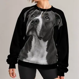 Melancholic Pit Bull Portrait for Everyday Casual Wear and Dog Lovers All-over Print Knitted Sweater