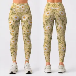 Daisy Meadow Flowers for Yoga, Pilates, and Everyday Wear for Women Leggings