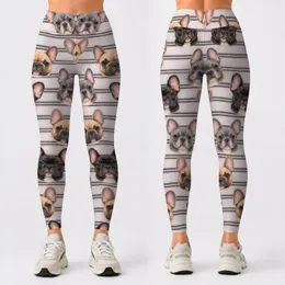 French Bulldog Stripe Style for Yoga, Pilates and Everyday City Outings Leggings