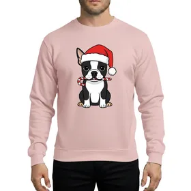 Kids' Whimsical Black White Boston Terrier Puppy Red Santa Hat Striped Candy Cane Christmas Art Sweatshirt