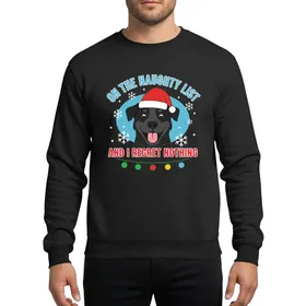 Dog Lovers' Humorous Black Flat-Coated Retriever Naughty List Red Santa Hat Blue Snowflake Festive Art Sweatshirt