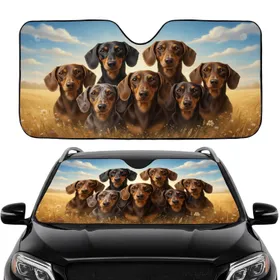 Six Adult Dachshunds Golden Field Blue Sky Clouds - Road Trip Gift for Dachshund Lover Car Sunshade