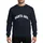 Vintage Style Enthusiasts White Bold Arched SANTA ANA Block Letters Worn Screen Print Texture Sweatshirt - 1