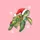 Holiday Lovers' Watercolor Sea Turtle Red Santa Hat Colorful Christmas Lights Snowflakes Sweatshirt - 2