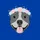 Pitbull Lovers' Happy Grey Pitbull Head Pastel Pink Blue Floral Crown Flat Art Sweatshirt - 2