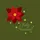 Holiday Celebrators' Bold Deep Red Poinsettia Green Feliz Navidad Script Yellow Stars Black Rectangle Frame Festive Floral Sweatshirt - 2