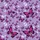 Women's Whimsical Lavender Violet Magenta Lime Green Illustrative Butterfly Scattered Pattern Vector Art Satin Pajamas Set - 2