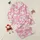 Women's Bubblegum Pink & Pastel Pink All-Over Sleepy Cartoon Bunny Pattern with Polka-Dot Bows Satin Pajamas Set - 1