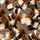Women's Vibrant Burnt Orange Tropical Jungle Zebra Black White Foliage Pattern Satin Pajamas Set - 2