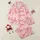 Women's Light Pastel Pink Whimsical Cheetah All-Over Print with Rosy Tropical Palm Leaves & Hibiscus Graphics Satin Pajamas Set - 1
