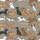 Women's Joyful Dog Breeds Doodle Pattern, Greige Background with Bright Accents & "Pawsitive Vibes" Satin Pajamas Set - 2