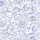 Women's Intricate Delft Blue Chinoiserie Peony & Flying Bird Seamless Pattern Satin Pajamas Set - 2