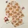Women's Cozy Capybara Orange Pom-Pom Beige-Brown Illustrative Animal Pattern Satin Pajamas Set - 1