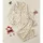 Women's Creamy Off-White Muted Goldenrod Daisy Wildflower Vintage Flat Illustrative Satin Pajamas Set - 1