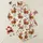 Festive Gift Givers' Grumpy Scottish Highland Cow Rustic Christmas Cartoon with Red Hats Plaid Scarves Cream Gingham Satin Pajamas Set - 1