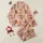 Newborns' Hand-Painted Highland Cow Floral Botanical Muted Rosy Beige Pattern Satin Pajamas Set - 1