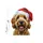 Textured Goldendoodle Santa Dog Portrait, Starry Night Impasto Christmas Snowflakes Sweatshirt - 2